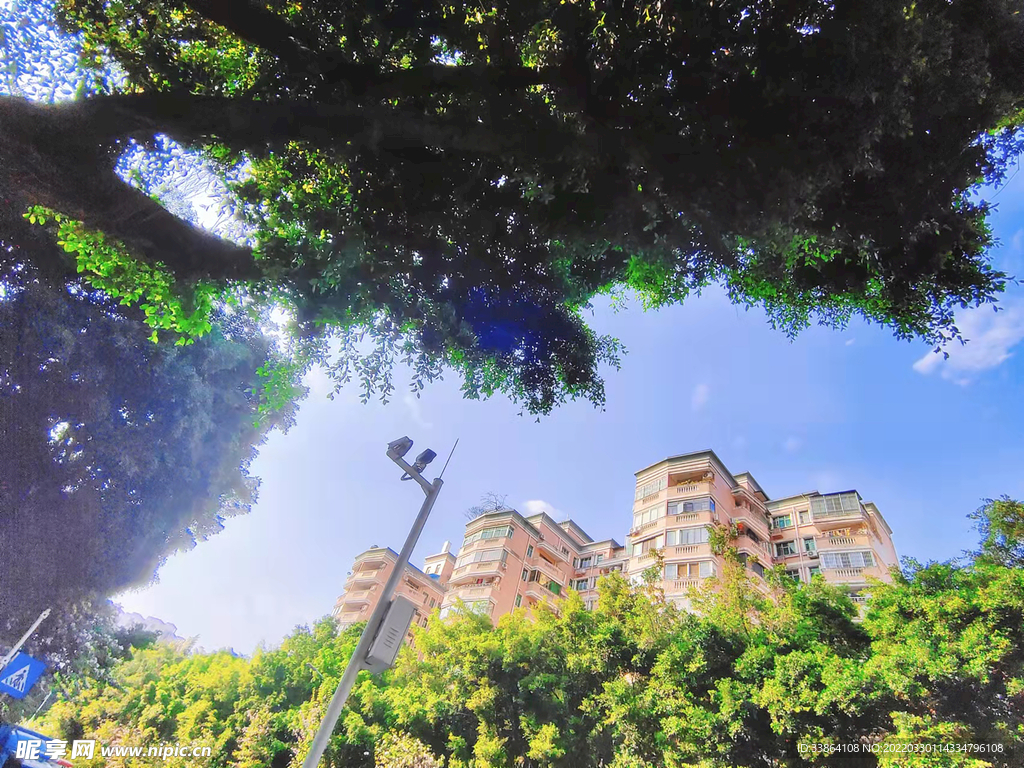 风景