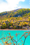 巴松措碧绿湖水栈道山林秋色