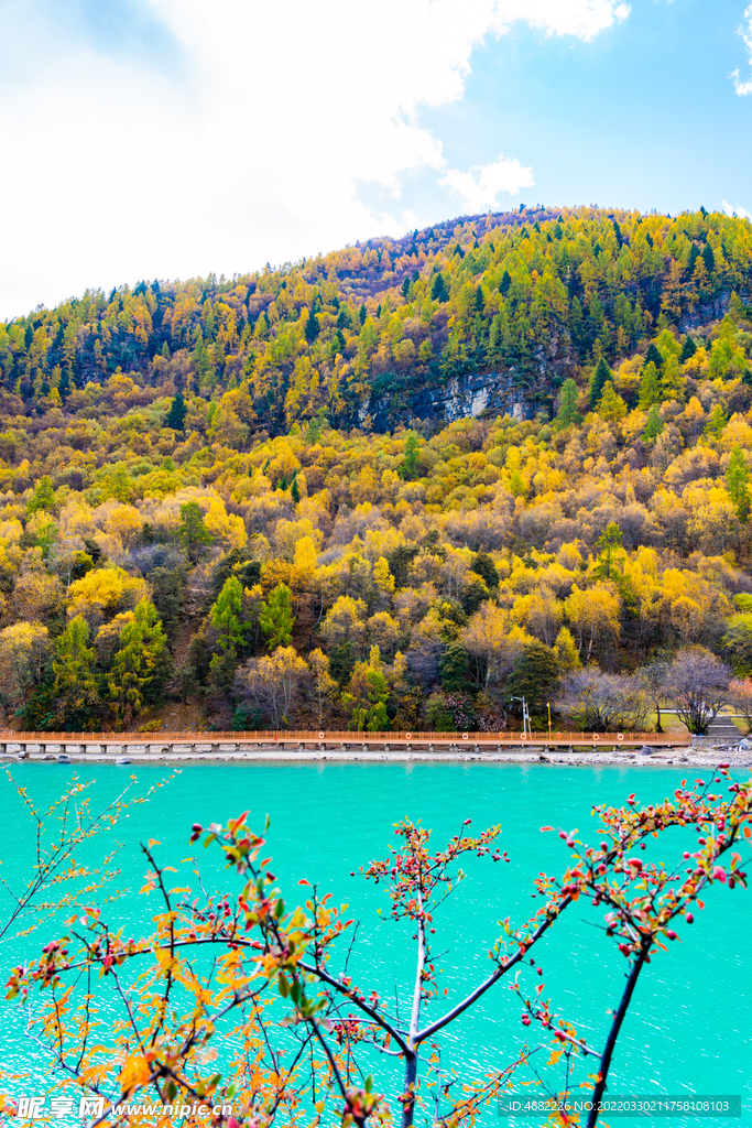 巴松措碧绿湖水栈道山林秋色