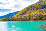 西藏林芝巴松措碧绿湖水秋色山林