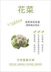 花菜海报