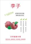 李子海报