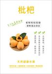 枇杷海报