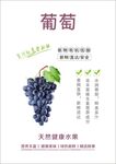 葡萄海报