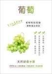 葡萄海报