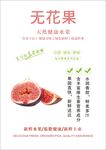 无花果海报