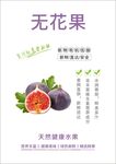 无花果海报