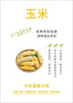 玉米海报
