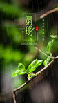 清明节素材