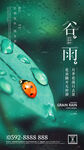 谷雨