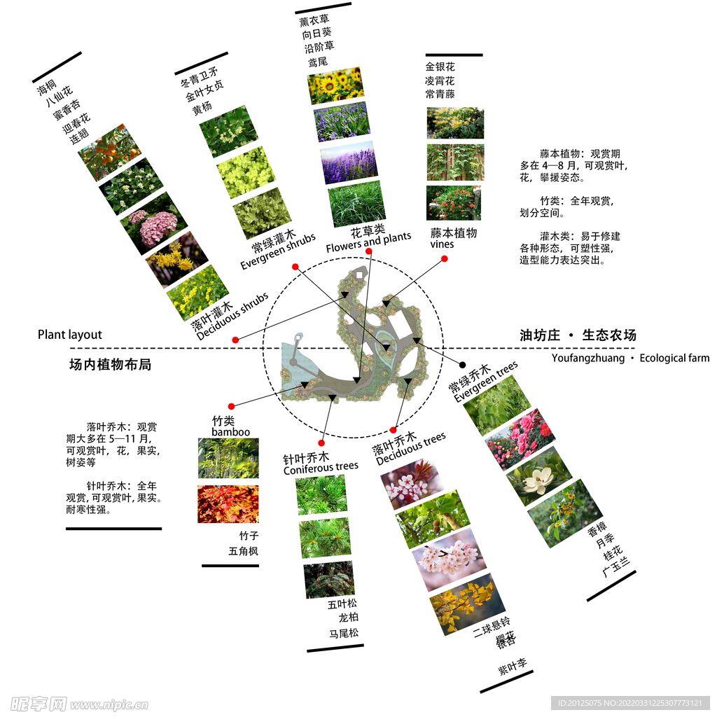 植被分析