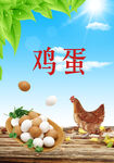 鸡蛋