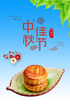 中秋佳节