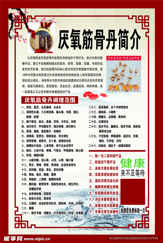 厌氧筋骨丹 中医