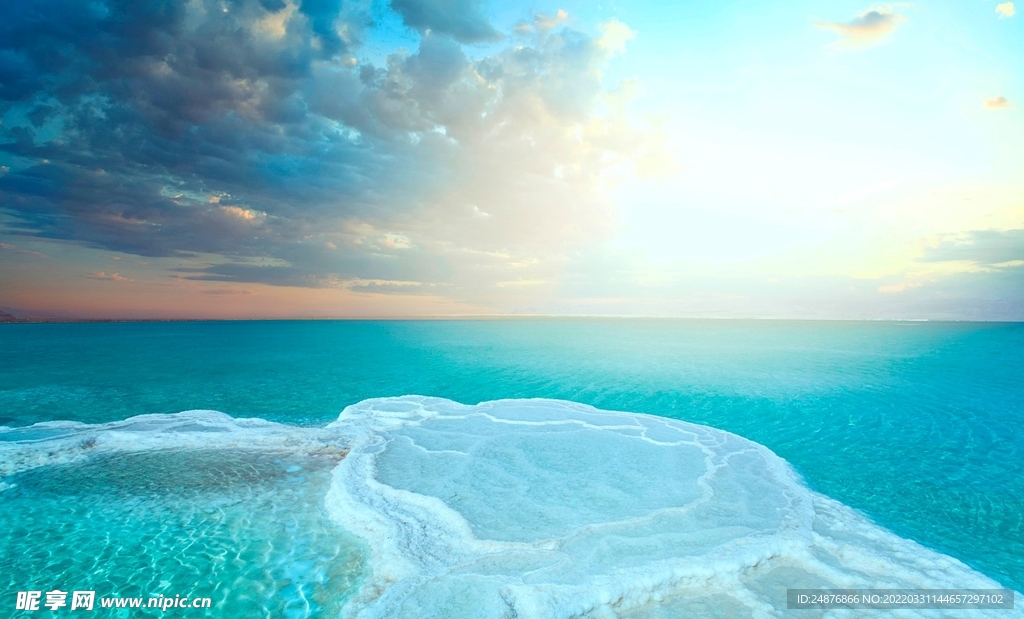 海洋