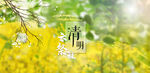 清明背景