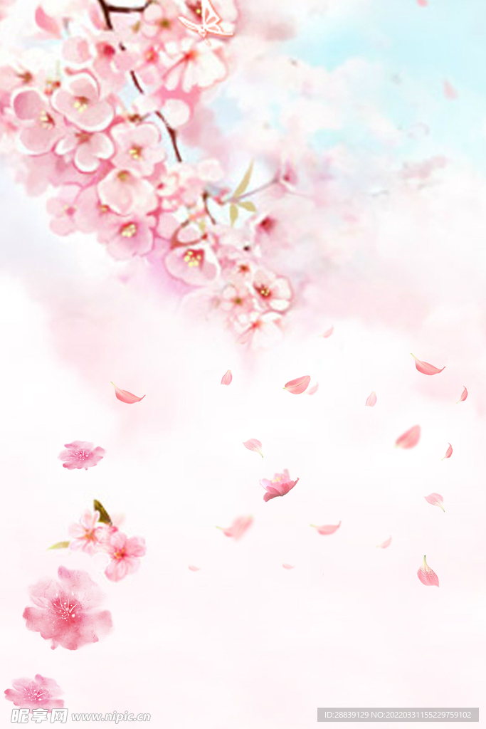  花瓣背景