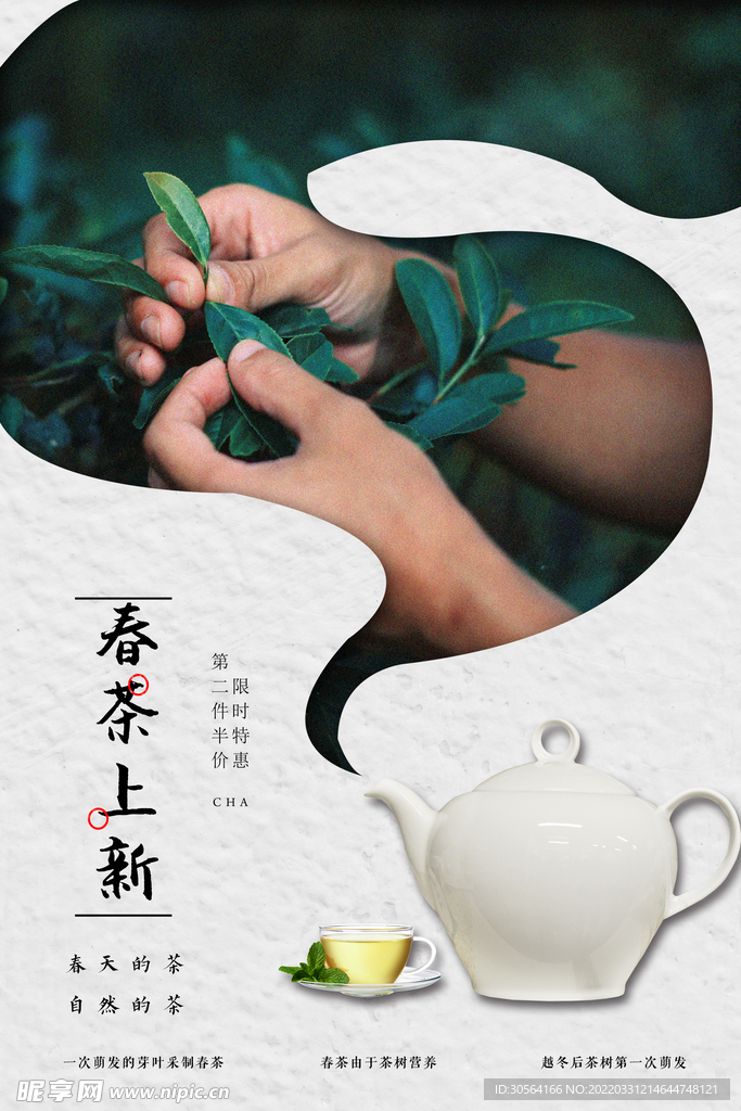 春茶上新