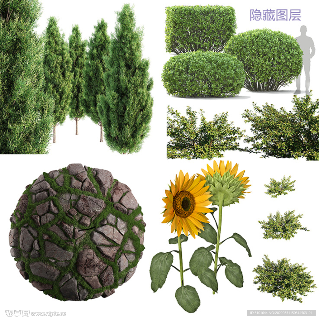 植物素材