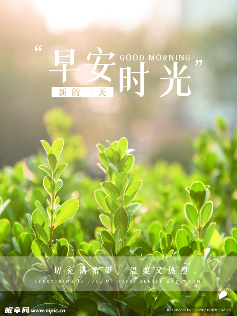 早安时光