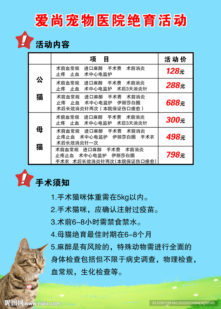 宠物店活动