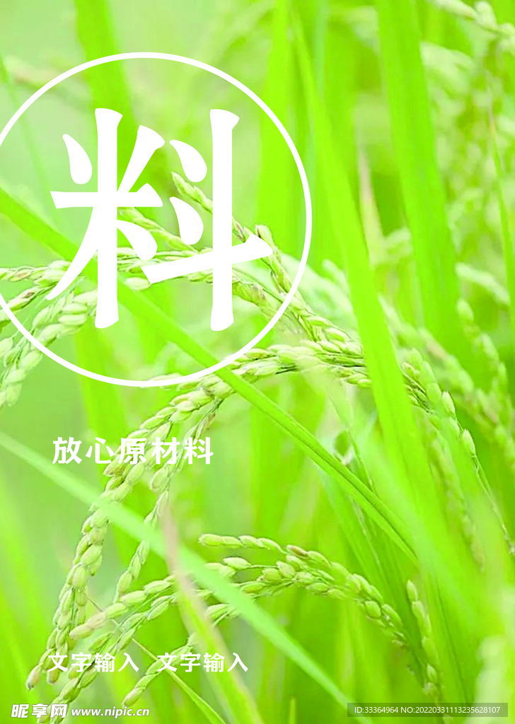 原料水稻海报