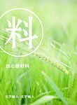 原料小麦海报