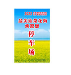 油菜花海