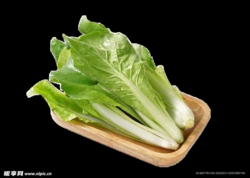 快菜