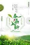 春茶海报 