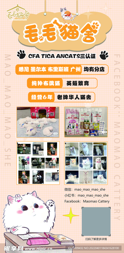 猫舍海报展架 活动卡通