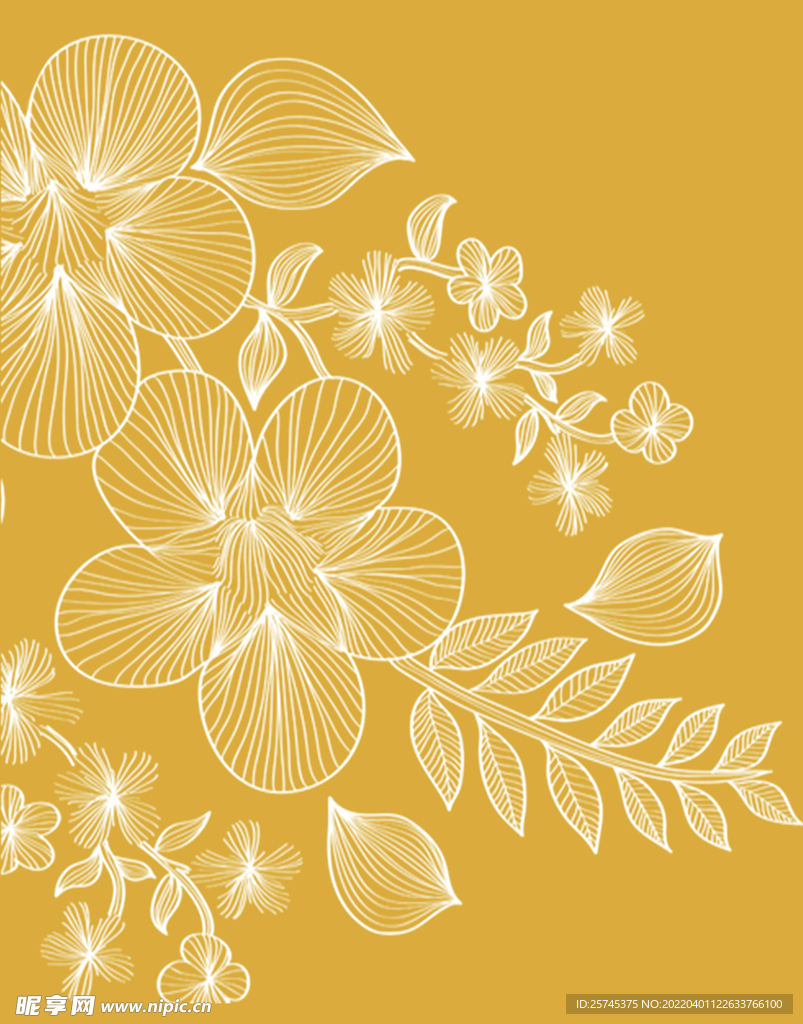 花纹