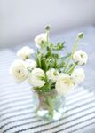 白色花束