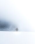 冬天背景 