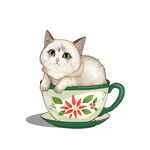 茶杯猫            