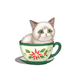 茶杯猫            