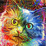 猫