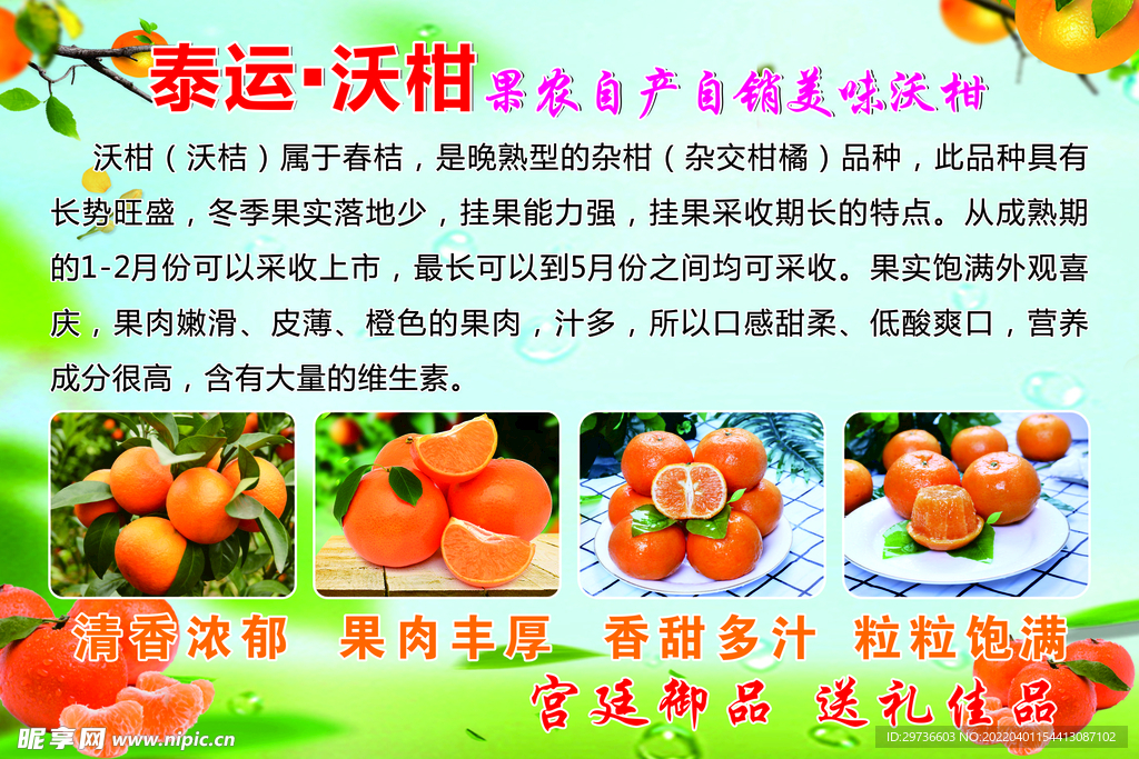 沃柑海报
