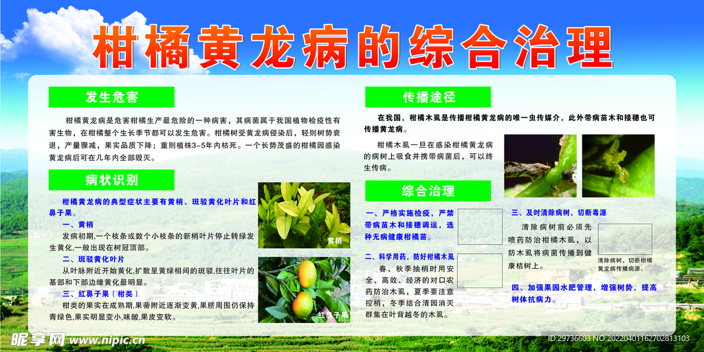 柑橘黄龙病