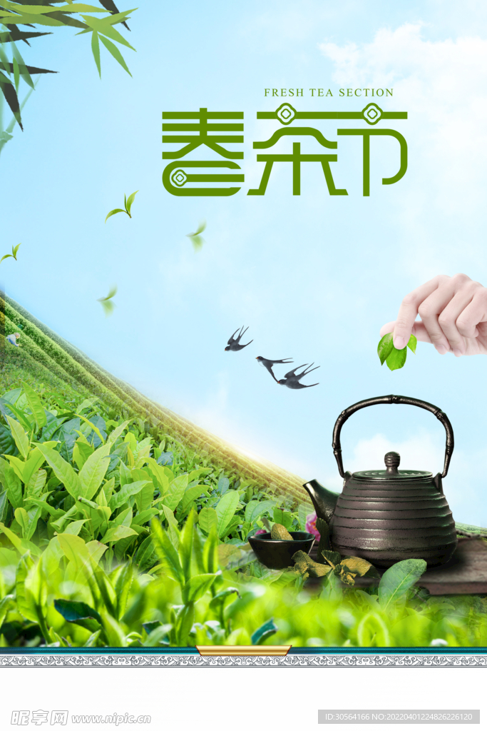 春茶节