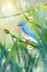 谷雨插画