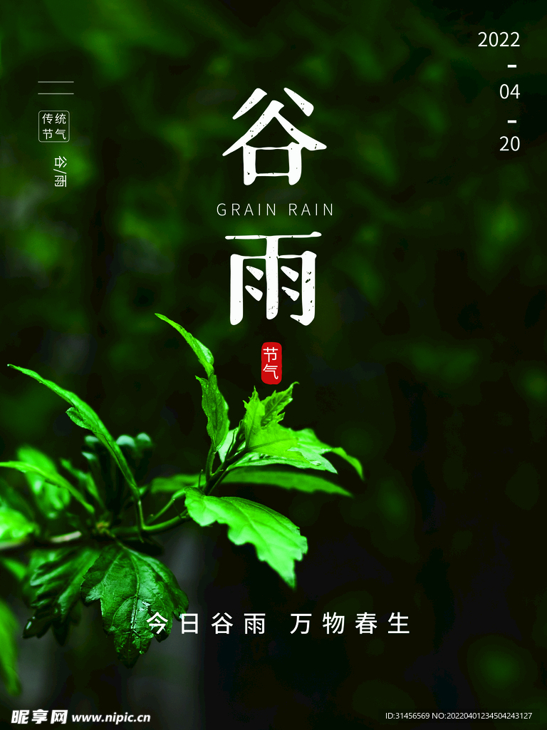 谷雨