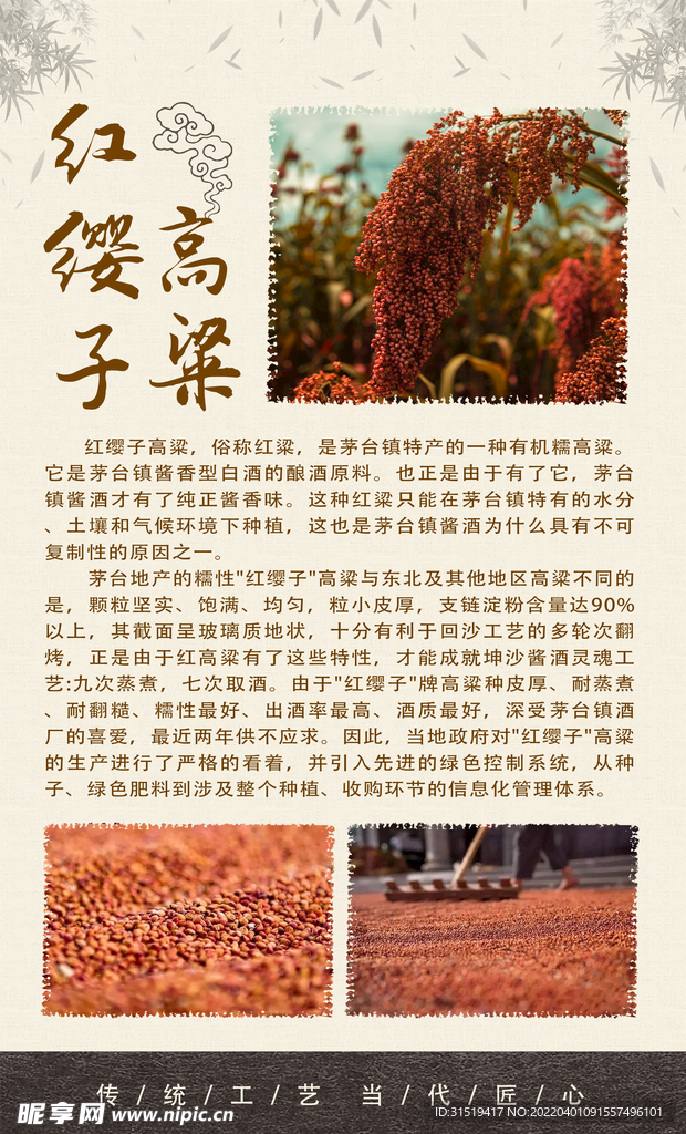 红缨子高粱