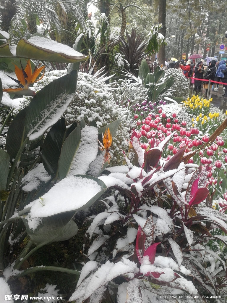 雪花