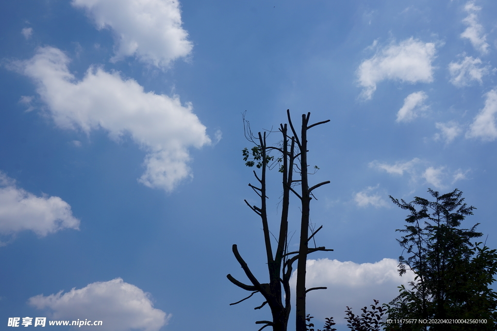 望空