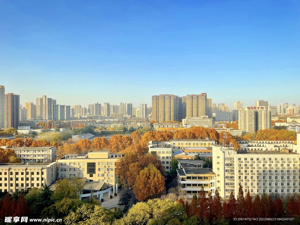 秋高气爽的城市美景