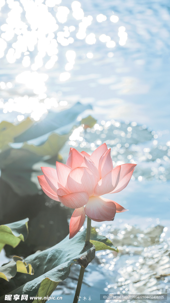 抽象 