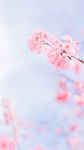 抽象