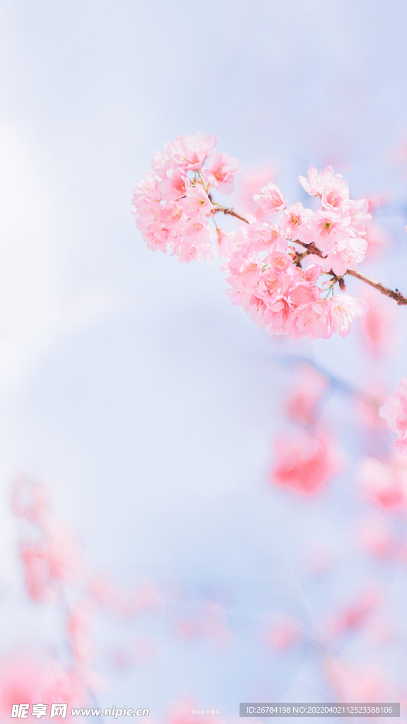 抽象