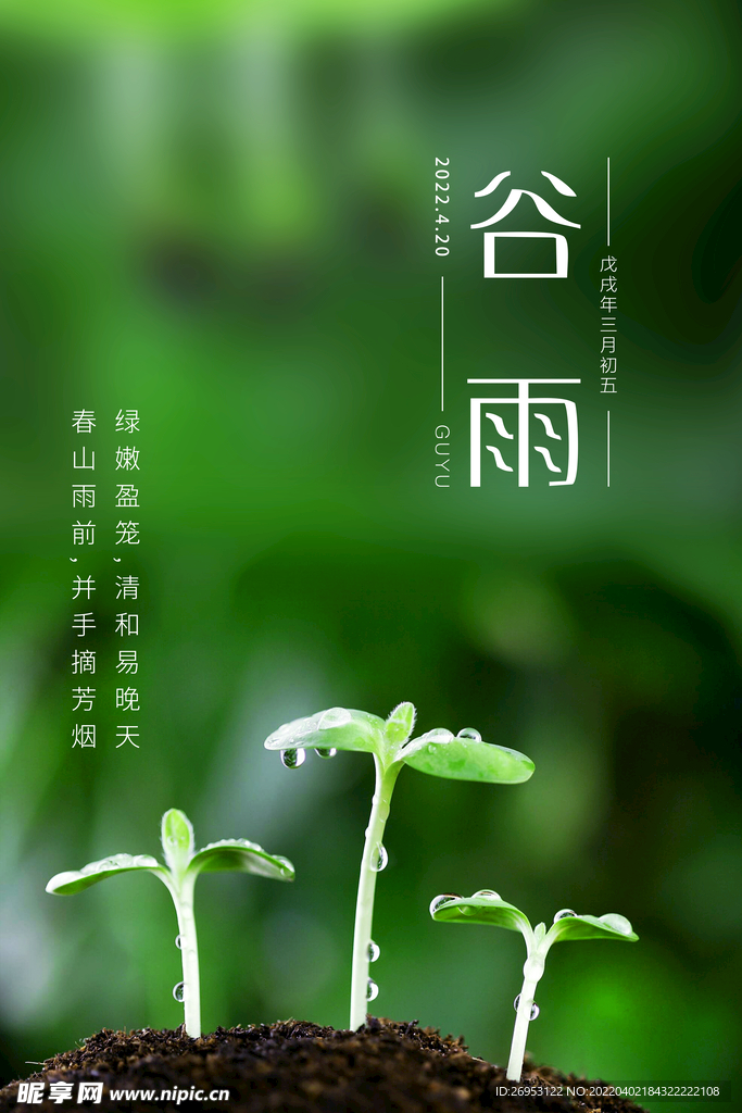 谷雨节气海报